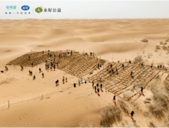 成为国内优良乳标